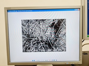 Thumbnail image of Jeol JSM-639OLV Scanning Electron Microscope With Inca X-act SEM Lab