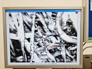 Thumbnail image of Jeol JSM-639OLV Scanning Electron Microscope With Inca X-act SEM Lab