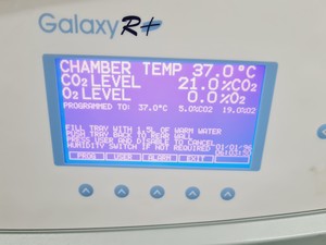Thumbnail image of RSBiotech Galaxy R+ Co2 Incubator