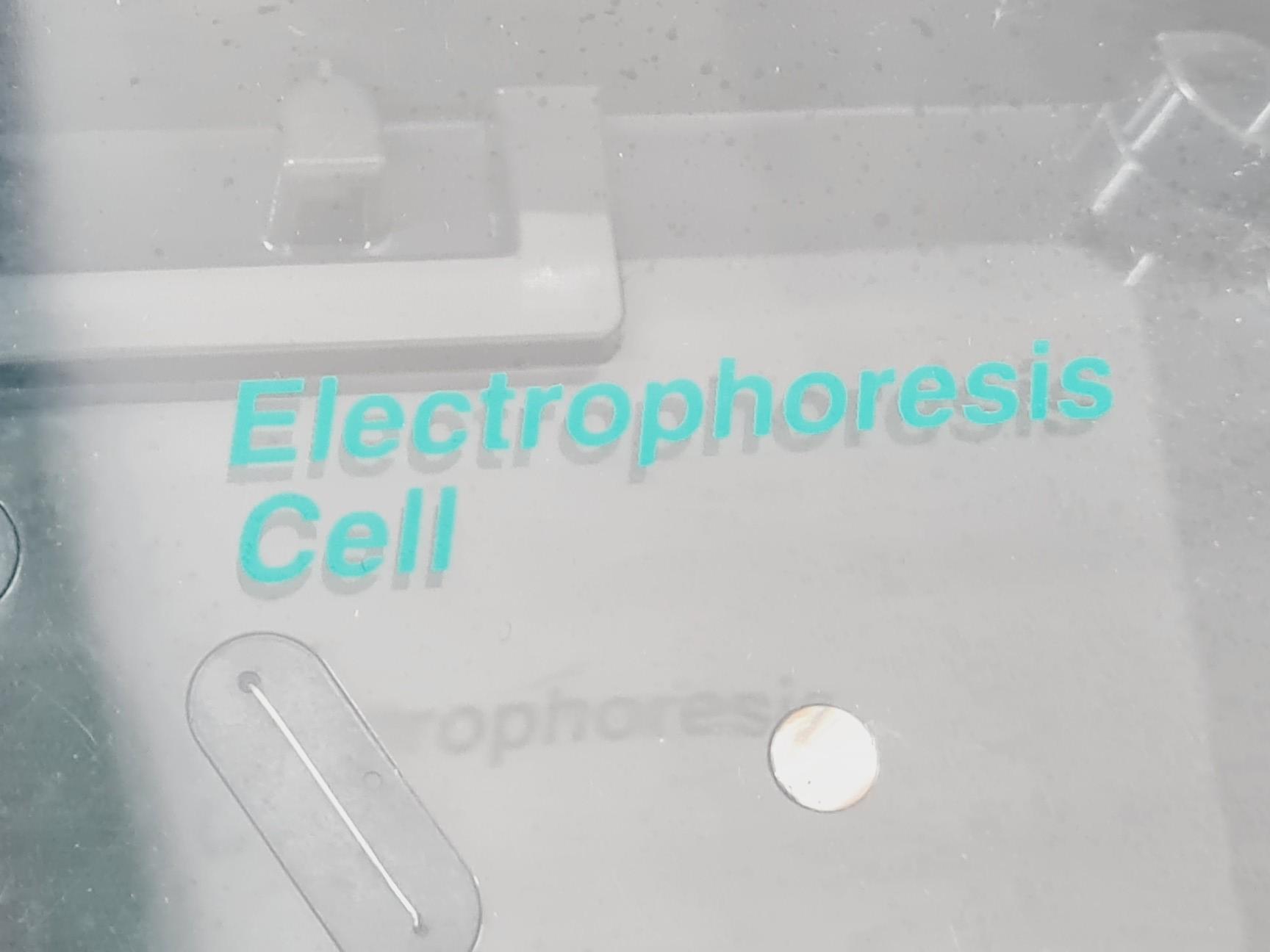 Image of Bio-Rad CHEF-DR III Pulsed Field Electrophoresis System