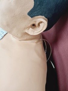 Thumbnail image of iStan Human Patient Simulator & Infant First Aid Model Lab Spares/Repairs