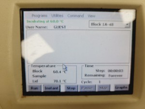 Thumbnail image of Bio-Rad Tetrad 2 Peltier Thermal Cycler Lab