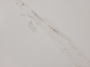 Thumbnail image of 3 x White Trespa Tables 75x200x89cm LWH Lab