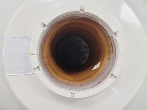 Thumbnail image of Statebourne Cryogenics Bio 34 LN2 Dewar Lab