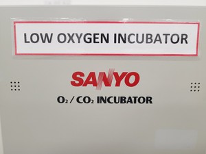 Thumbnail image of Sanyo MCO-19M O2 CO2 Incubator Lab