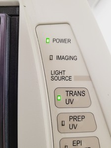 Thumbnail image of Bio-Rad Gel Doc Universal Hood II Lab