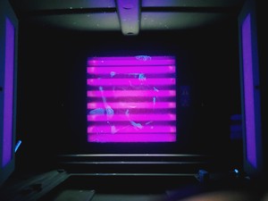 Thumbnail image of Bio-Rad Gel Doc Universal Hood II Lab