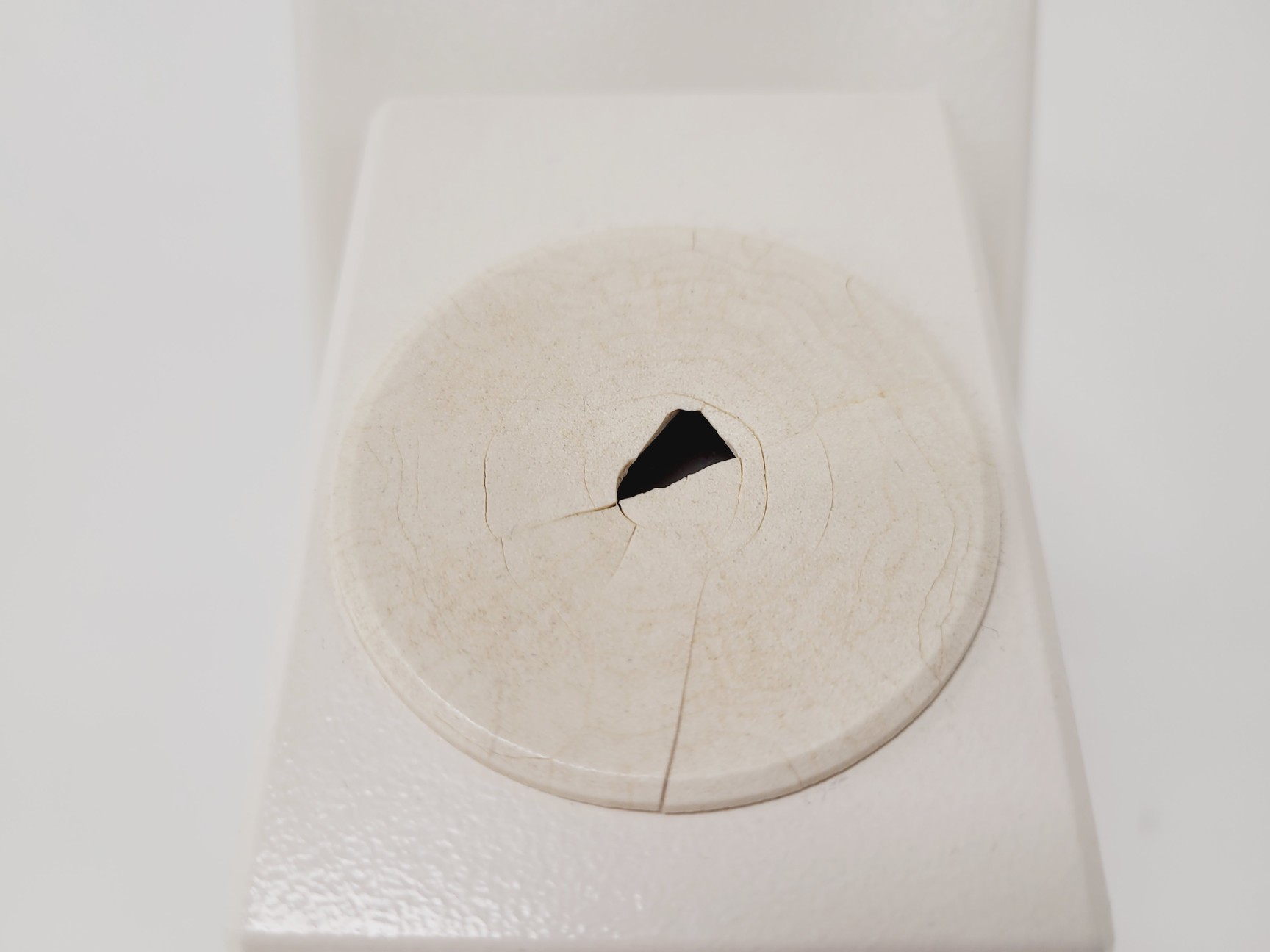 Image of Zeiss Axiovert S100 Microscope with 3 x Objectives Lab