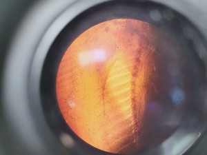 Thumbnail image of Zeiss Axiovert S100 Microscope with 3 x Objectives Lab