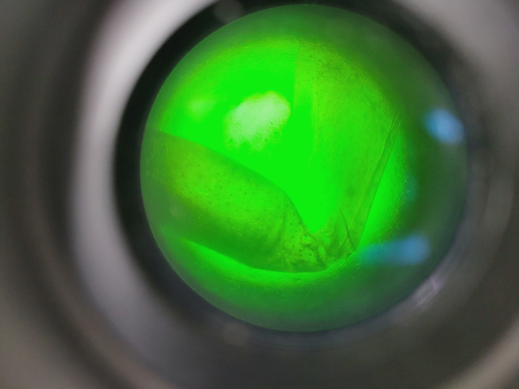 Image of Zeiss Axiovert S100 Microscope with 3 x Objectives Lab