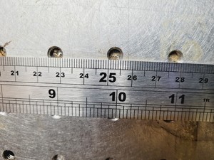 Thumbnail image of Photon Control Optics Table w/4 x Newport Stabilizers I-2000 Series Lab