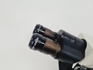 Thumbnail image of Prior PL012 Binocular Microscope With 4 x Objectives Lab