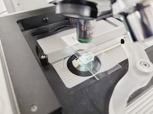 Thumbnail image of Singer MSM 400 Dissection Microscope System Lab