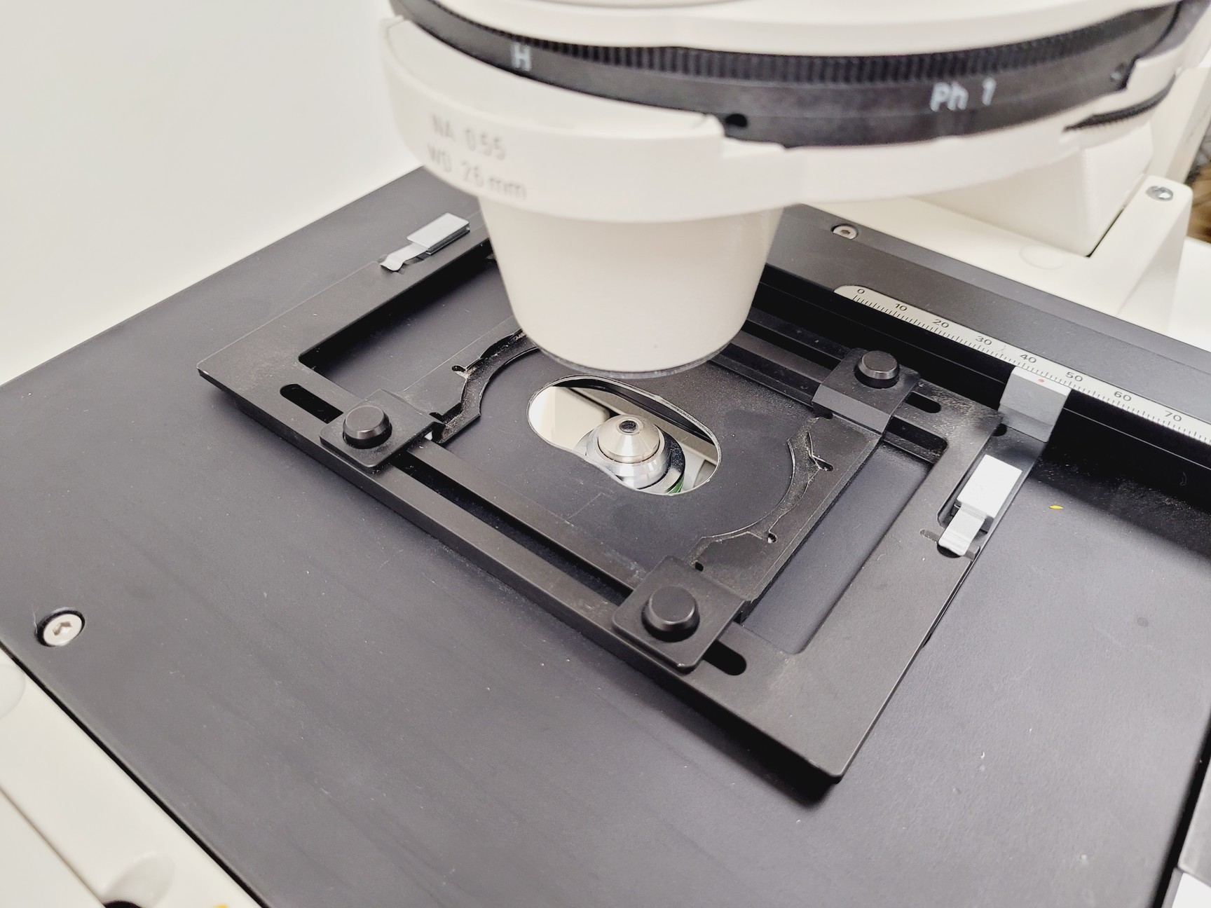 Image of Zeiss Axiovert 200M Fluorescence Microscope w/ Zeiss Plan-NEOFLUAR 20x/0.50 Lab