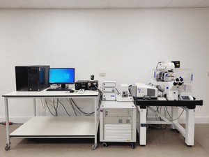 Image of Zeiss LSM780 Confocal Microscope System Observer .Z1 Zeiss Zen Software Lab