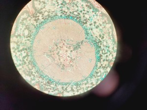 Thumbnail image of Zeiss LSM 780 Confocal Microscope System Observer .Z1 Zeiss Zen Software Lab
