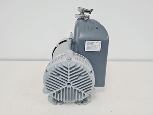 Thumbnail image of Genevac Boc Edwards Scroll Pump Model XDS5 