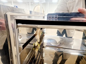 Thumbnail image of Gallenkamp Industrial BR185H C RO Environmental Chamber Spares/Repair Lab