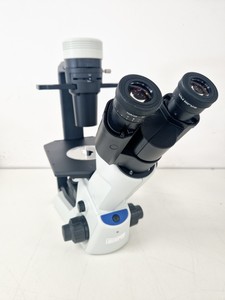 Image of Olympus CKX53 Inverted Microscope w/ 3 x Objectives LCAch 10x 20x 40x iPC Lab