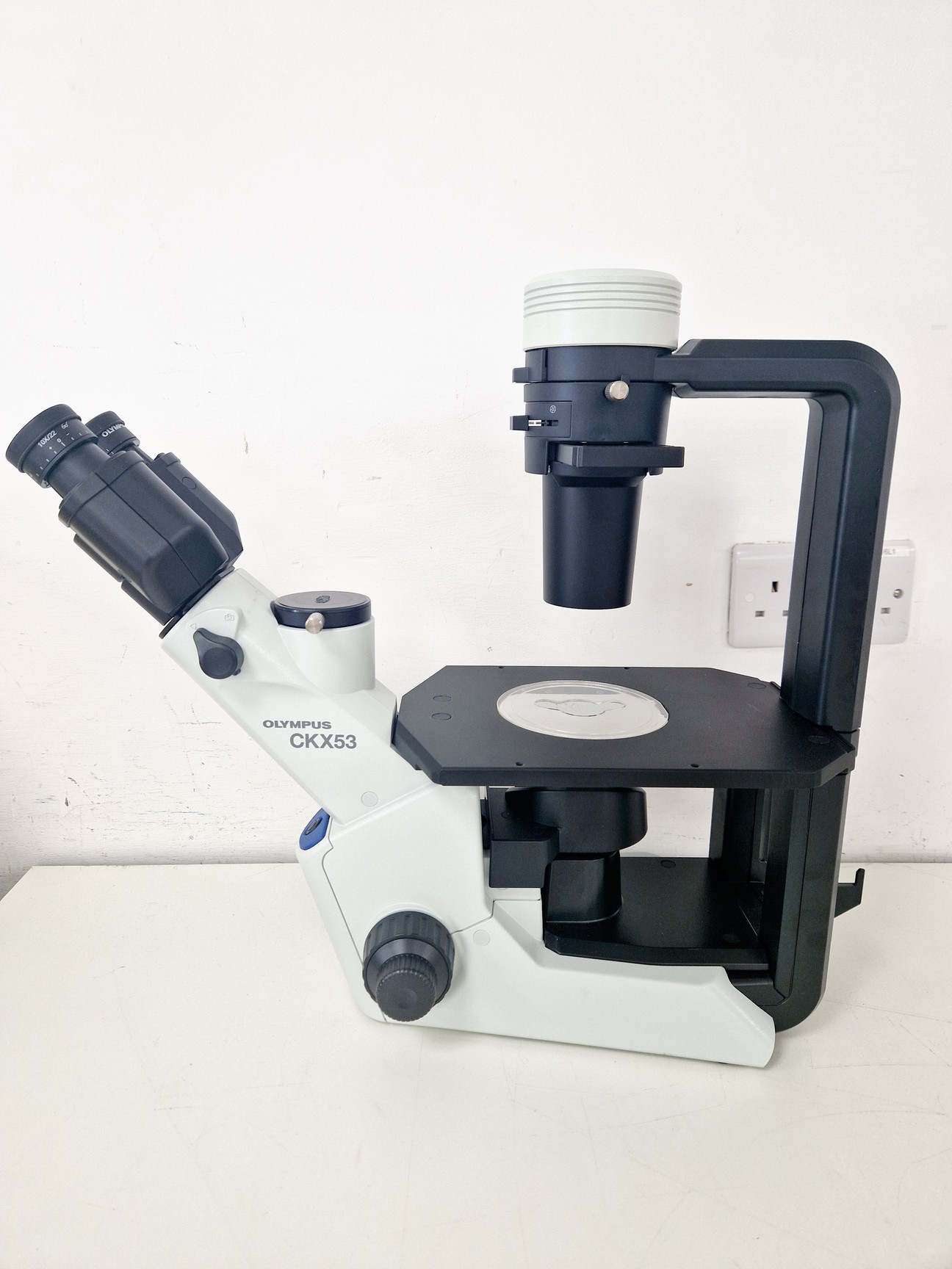 Image of Olympus CKX53 Inverted Microscope w/ 3 x Objectives LCAch 10x 20x 40x iPC Lab