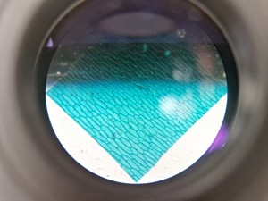 Thumbnail image of Olympus CKX53 Inverted Microscope w/ 3 x Objectives LCAch 10x 20x 40x iPC Lab