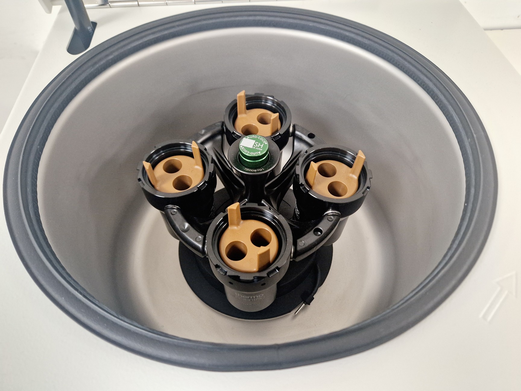 Image of Thermo Scientific Megafuge 8R BenchTop Centrifuge W/ TX-150 Rotor 4,500 Max RPM 