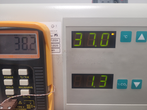 Thumbnail image of Heraeus Heracell 150 CO2 Incubator Lab