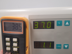 Thumbnail image of Heraeus Heracell 150 CO2 Incubator