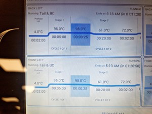 Thumbnail image of PCR Max Mo. Alpha Thermal Cycler Lab