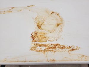 Thumbnail image of Intermed Microflow Pathfinder Class 2 Biological Safety Cabinet - Spares/Repair