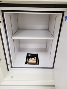 Thumbnail image of Phoenix Safe 2000 Datacare w/ Key - 215kg 