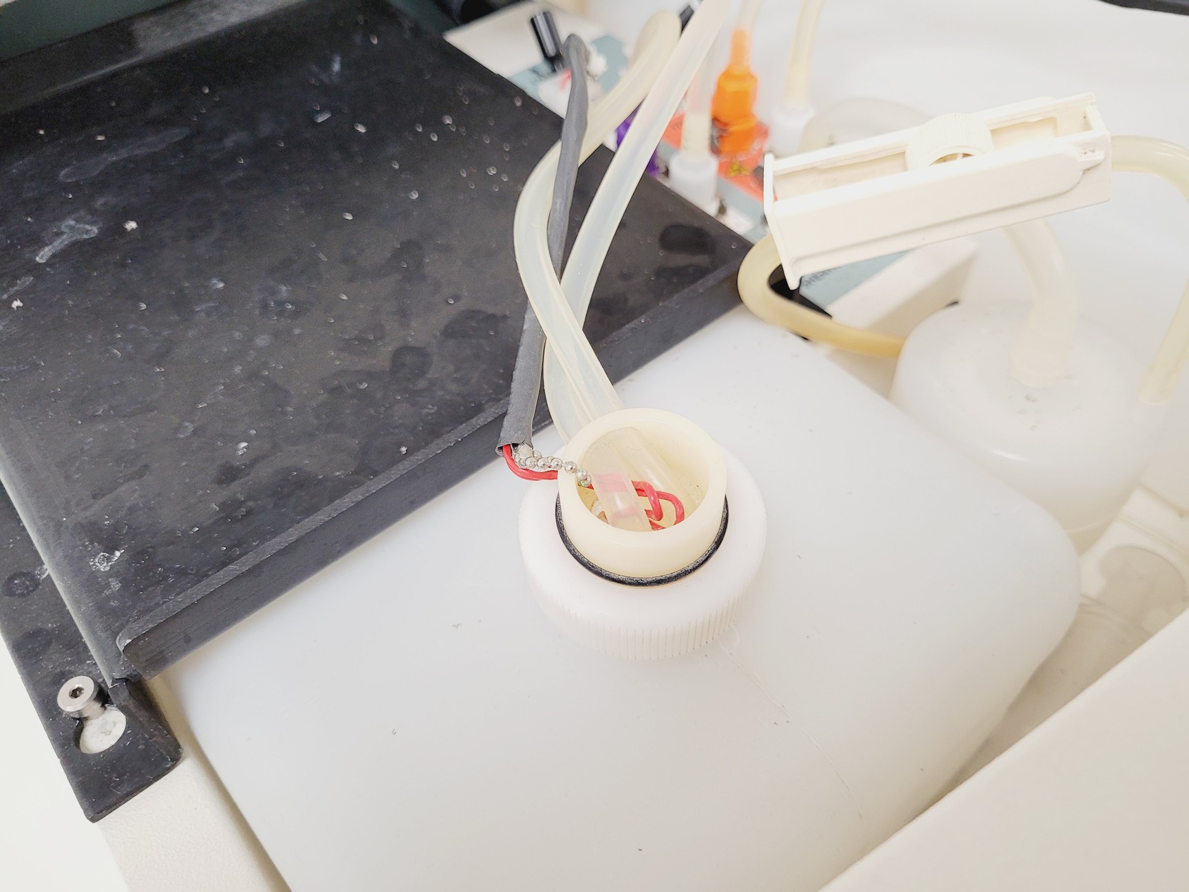Image of BD FACSCalibur Flow Cytometer & Transformer Lab