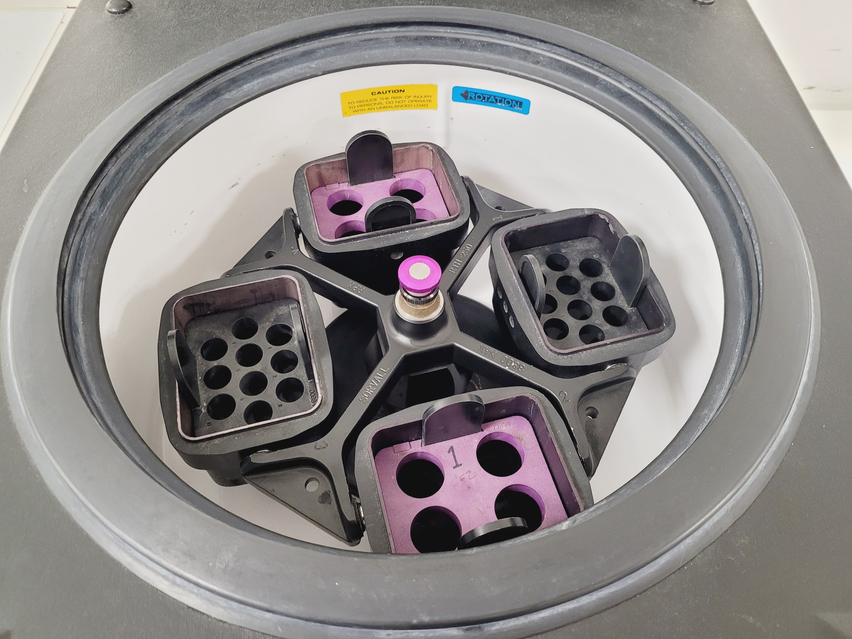 Image of Sorvall RT7 Plus Refrigerated Benchtop Centrifuge w/ RTH-250 Rotor Lab