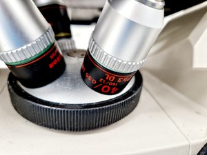 Thumbnail image of Nikon TMS-F Inverted Microscope w/ 3 x Objectives Ph1/Ph2/Ph3 0.25, 20, 40 Lab