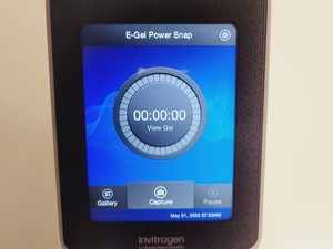 Thumbnail image of Invitrogen E-Gel Power Snap Electrophoresis System