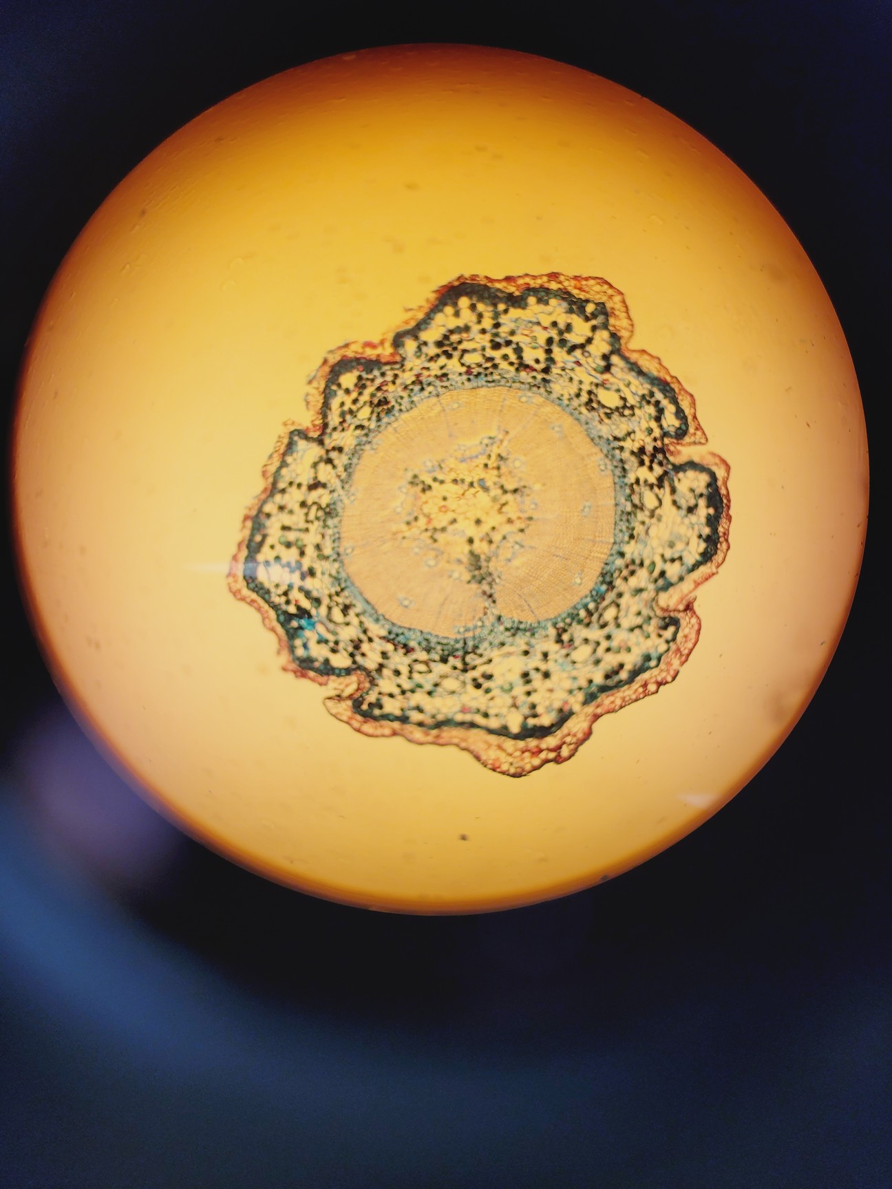 Image of Palm Microbeam3 Laser Capture Microdissector, Axiovert 200 w/ AxioVision Lab