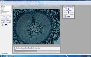 Thumbnail image of Palm Microbeam3 Laser Capture Microdissector, Axiovert 200 w/ AxioVision Lab
