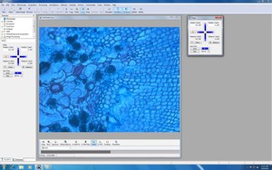 Thumbnail image of Palm Microbeam3 Laser Capture Microdissector, Axiovert 200 w/ AxioVision Lab