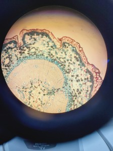 Thumbnail image of Nikon Eclipse Ti-E Motorised Inverted Microscope System and A1R confocal/TIRF 