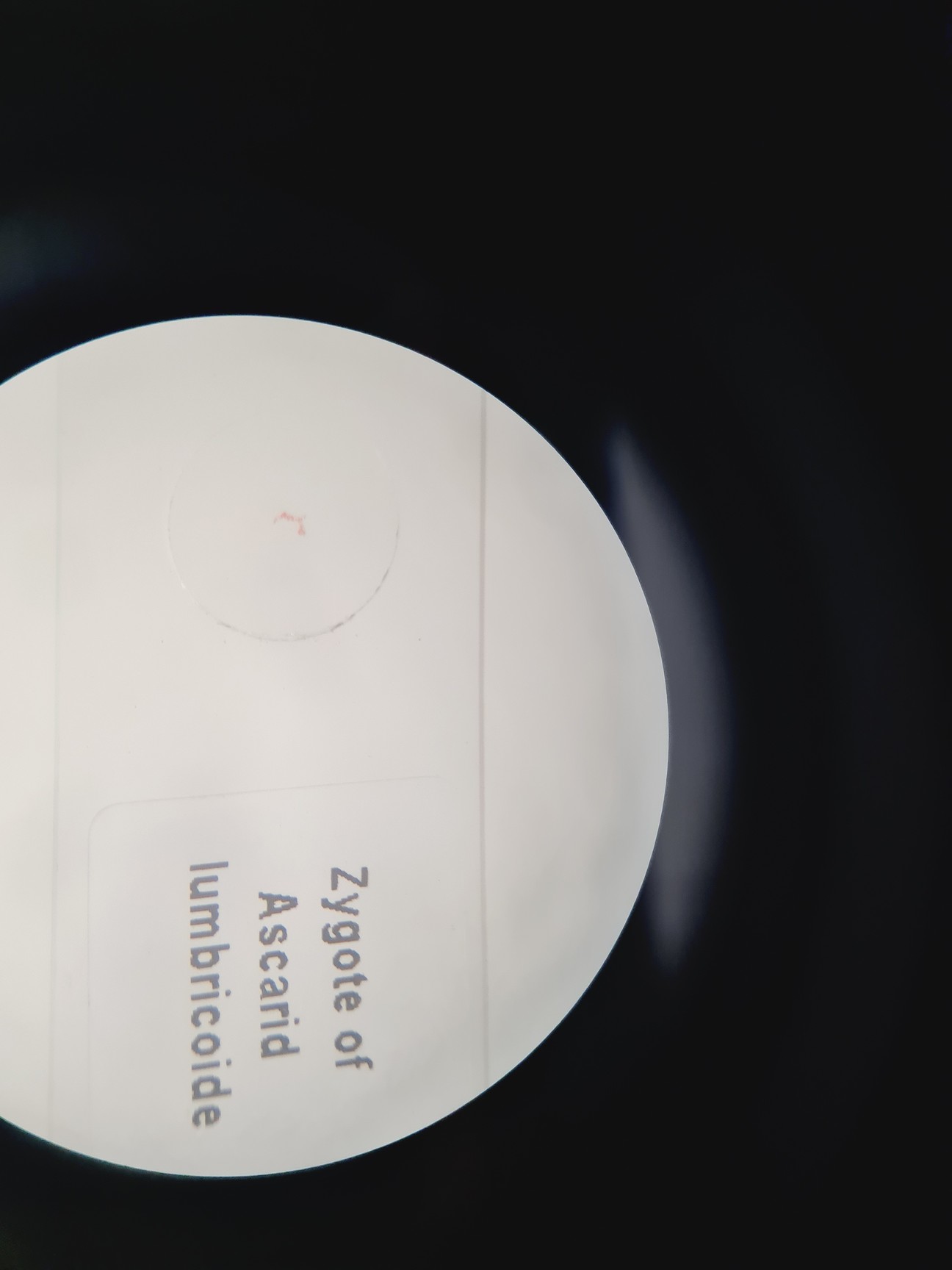 Image of Carl Zeiss Surgical Microscope + Metz NAG 80 VA Controller Spares/Repair Lab