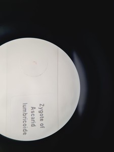 Thumbnail image of Carl Zeiss Surgical Microscope + Metz NAG 80 VA Controller Spares/Repair Lab