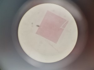 Thumbnail image of Carl Zeiss Stativfuss S Surgical Microscope Lab