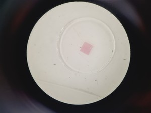 Thumbnail image of Carl Zeiss Stativfuss S Surgical Microscope Lab
