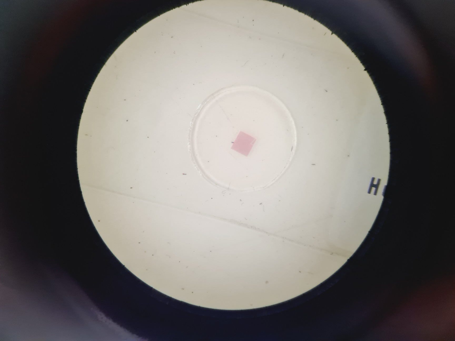 Image of Carl Zeiss Stativfuss S Surgical Microscope Lab