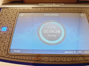 Thumbnail image of Thermo Scientific Applied Biosystems MiniAmp Plus Thermal Cycler Lab
