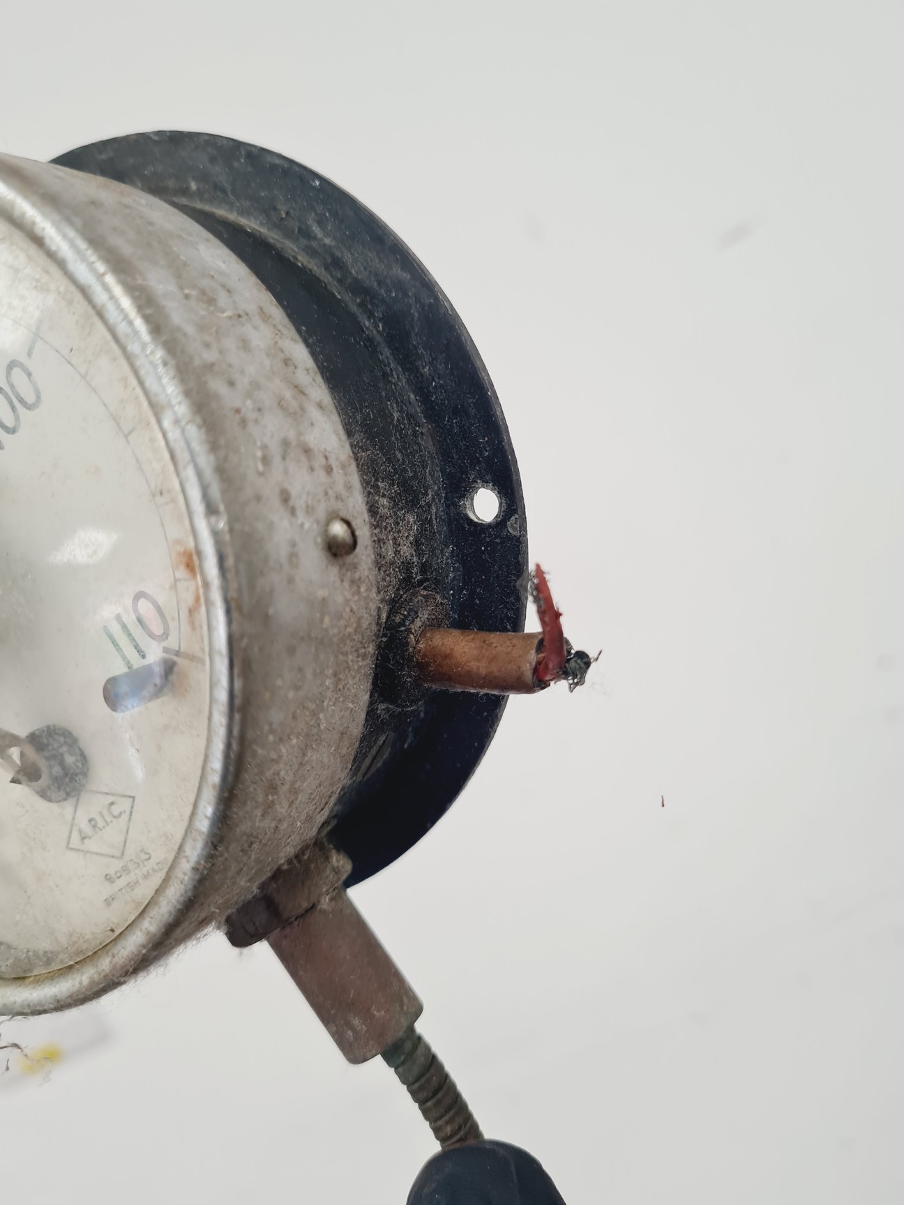 Image of Bartlett Hot Water Commercial Steamer For Catering 