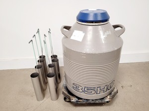 Thumbnail image of Taylor-Wharton 35HC Liquid Nitrogen Dewar Lab