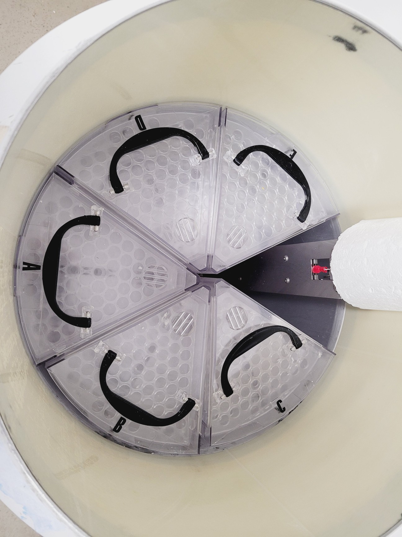 Image of Air Liquide Arpege 55 Liquid Nitrogen Dewar w/ Cryopal Monitor