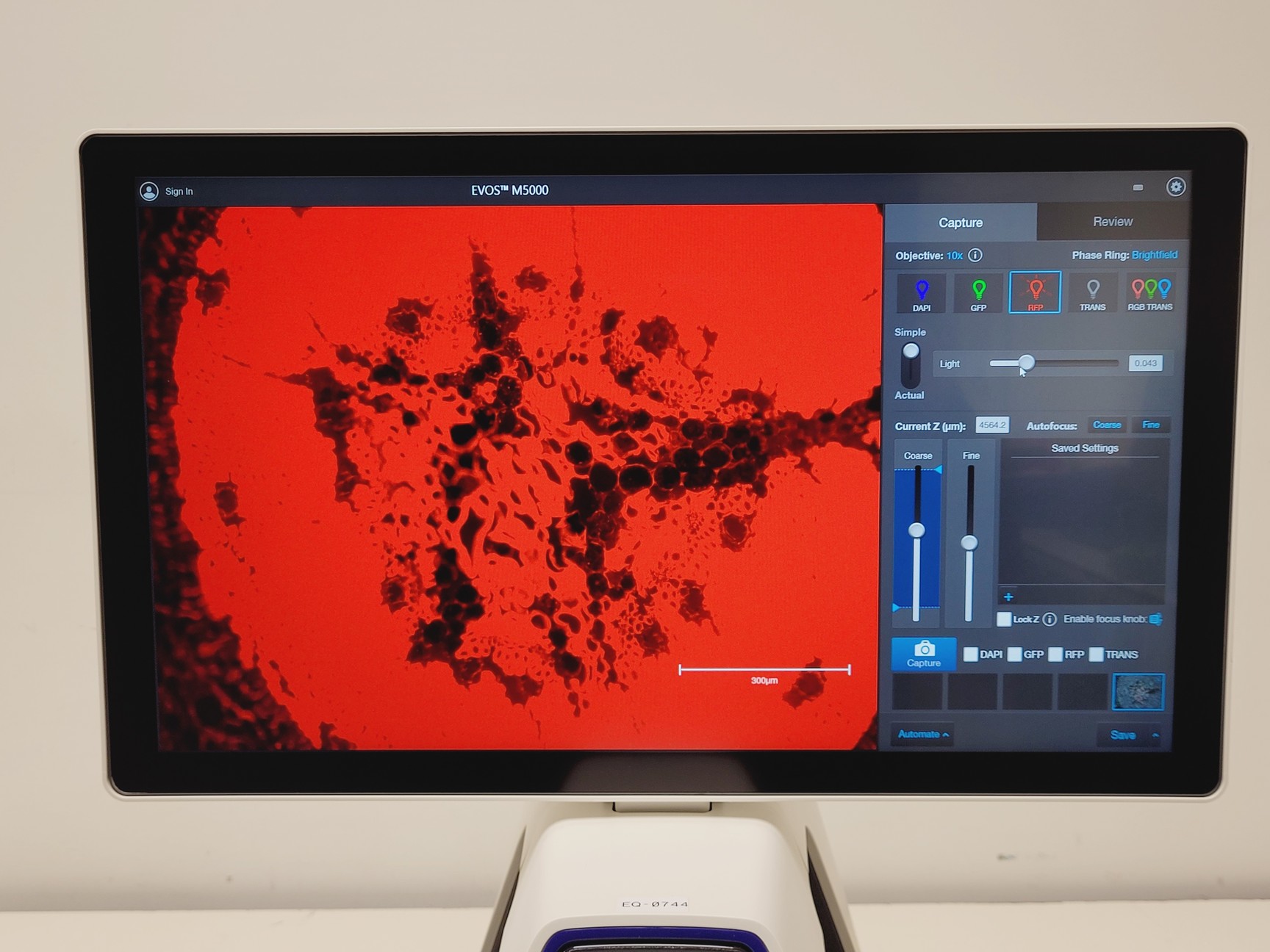 Image of Invitrogen By Thermo Fisher Scientific EVOS M5000 Imaging System Lab