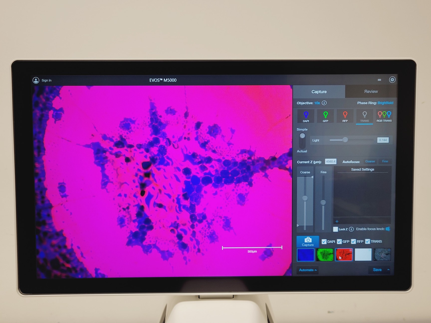 Image of Invitrogen By Thermo Fisher Scientific EVOS M5000 Imaging System Lab